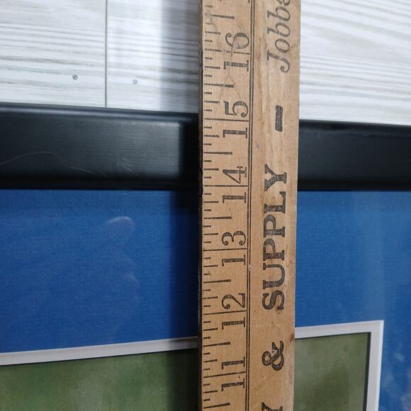 Eastern Male Bluebird, R T Wallen Photography Art Print, Matted & Framed 18x15" - Picture 8 of 9